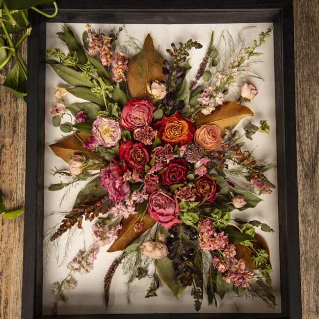 dried floral presserie