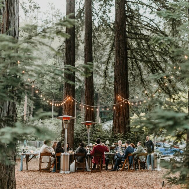 Woodland wedding reception in lake tahoe