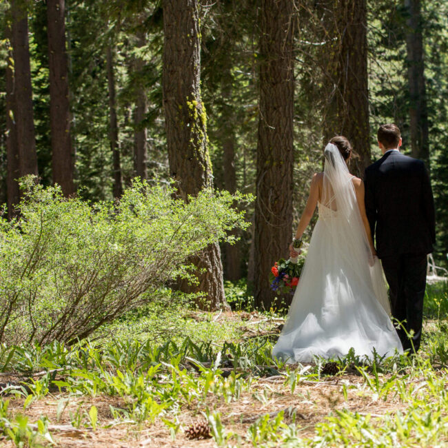 wedding in the woods in Lake Tahoe